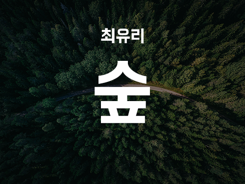 최유리-숲 (기타/코드/악보/가사)